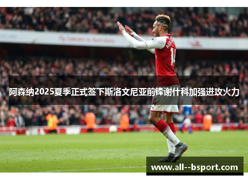 阿森纳2025夏季正式签下斯洛文尼亚前锋谢什科加强进攻火力